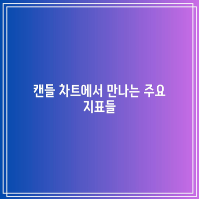 비트코인 시세 정보를 활용한 캔들 차트 생성