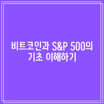 파이썬을 활용한 비트코인과 S&P 500 상관관계 분석