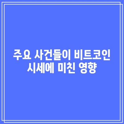 비트코인 시세 역사와 미래 상승 가능성