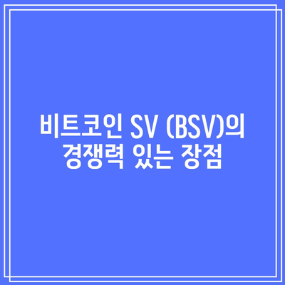 비트코인 SV (BSV)의 특징, 시세, 전망: 투자 가치 분석