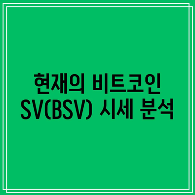 비트코인 SV(BSV) 특징, 시세, 전망 탐구