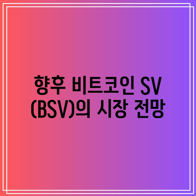 비트코인 SV (BSV)의 특징, 시세, 전망: 투자 가치 분석