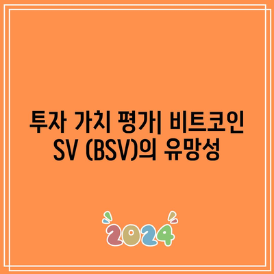 비트코인 SV (BSV)의 특징, 시세, 전망: 투자 가치 분석