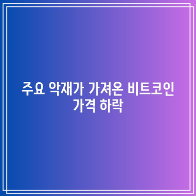 비트코인 시세 영향 요인 분석: 호재와 악재