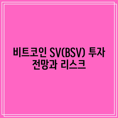 비트코인 SV(BSV) 특징, 시세, 전망 탐구