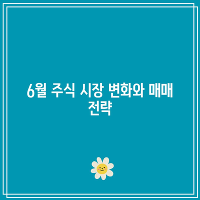 6월 주식 및 코인 자동 매매 성과 분석