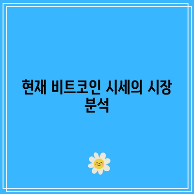 비트코인 시세 역사와 미래 상승 가능성