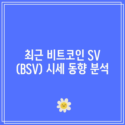 비트코인 SV (BSV)의 특징, 시세, 전망: 투자 가치 분석