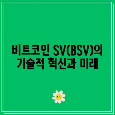 비트코인 SV(BSV) 특징, 시세, 전망 탐구