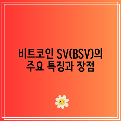 비트코인 SV(BSV) 특징, 시세, 전망 탐구